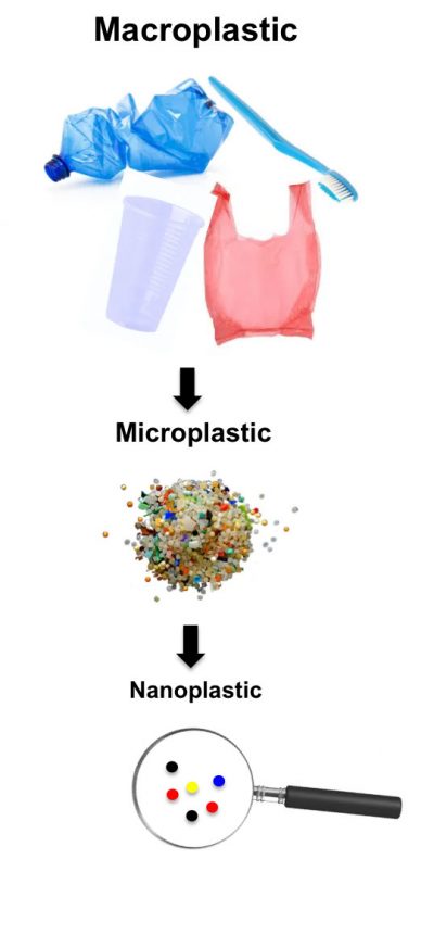 Macro, micro, and nano plastics